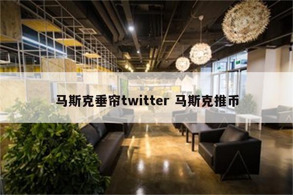 马斯克垂帘twitter 马斯克推币