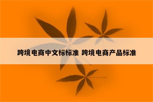 跨境电商中文标标准 跨境电商产品标准