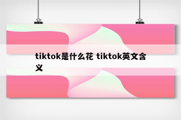 tiktok是什么花 tiktok英文含义
