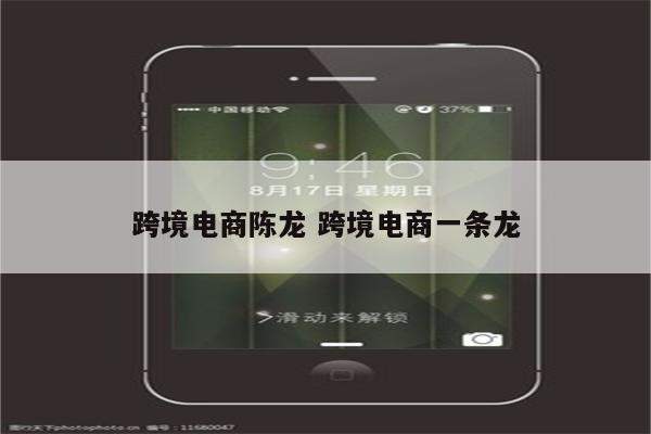 跨境电商陈龙 跨境电商一条龙