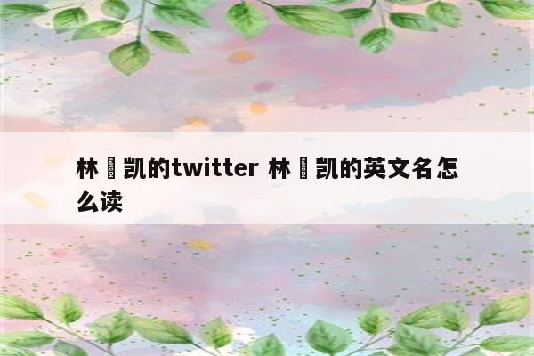 林祎凯的twitter 林祎凯的英文名怎么读