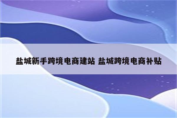 盐城新手跨境电商建站 盐城跨境电商补贴