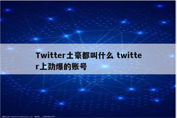 Twitter土豪都叫什么 twitter上劲爆的账号