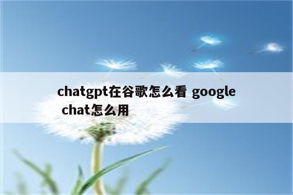 chatgpt在谷歌怎么看 google chat怎么用