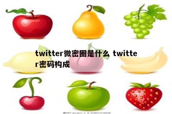 twitter微密圈是什么 twitter密码构成