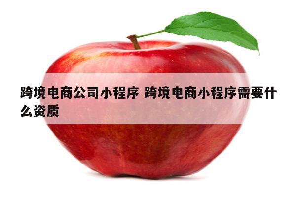 跨境电商公司小程序 跨境电商小程序需要什么资质