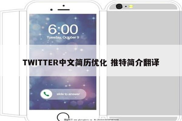 TWITTER中文简历优化 推特简介翻译