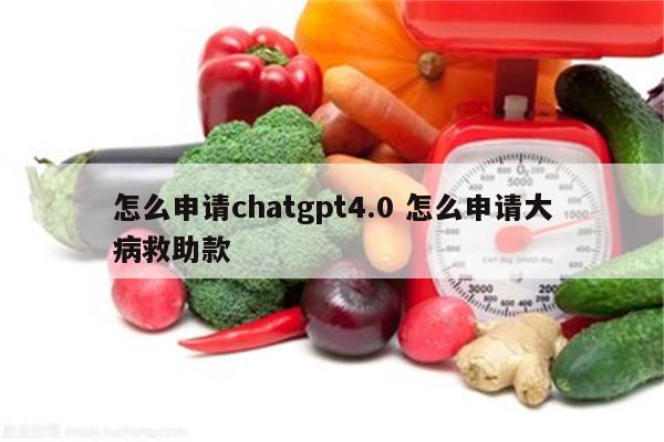 怎么申请chatgpt4.0 怎么申请大病救助款