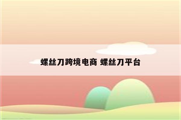 螺丝刀跨境电商 螺丝刀平台