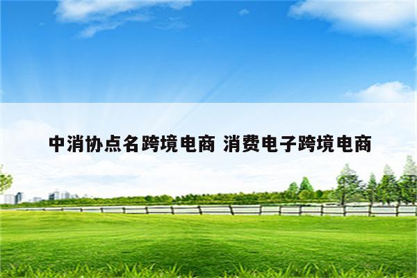 中消协点名跨境电商 消费电子跨境电商