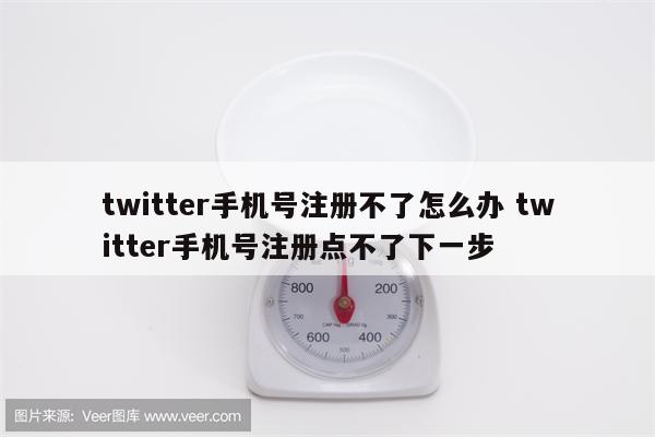 twitter手机号注册不了怎么办 twitter手机号注册点不了下一步