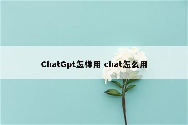ChatGpt怎样用 chat怎么用