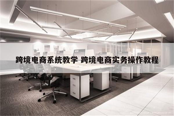 跨境电商系统教学 跨境电商实务操作教程