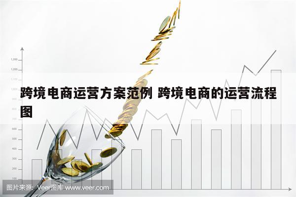 跨境电商运营方案范例 跨境电商的运营流程图