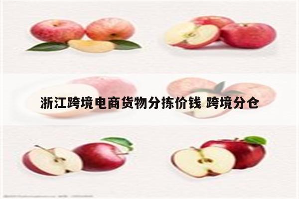 浙江跨境电商货物分拣价钱 跨境分仓