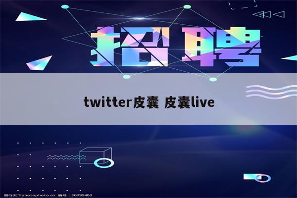 twitter皮囊 皮囊live