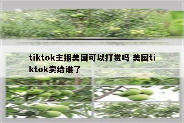 tiktok主播美国可以打赏吗 美国tiktok卖给谁了