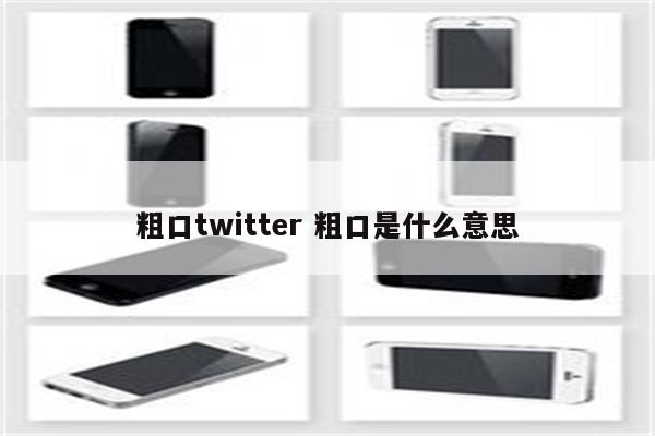 粗口twitter 粗口是什么意思