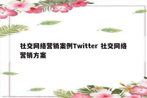 社交网络营销案例Twitter 社交网络营销方案