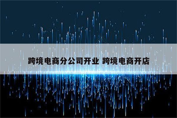 跨境电商分公司开业 跨境电商开店