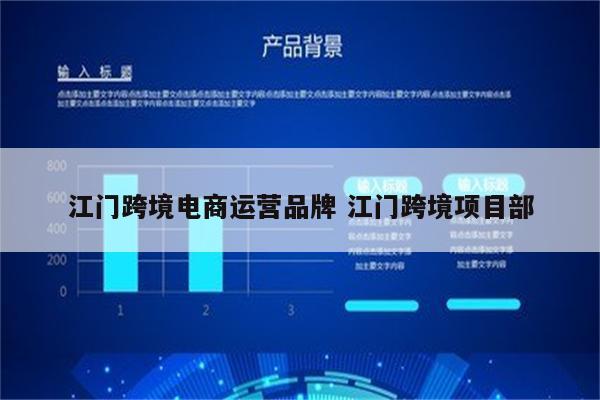 江门跨境电商运营品牌 江门跨境项目部