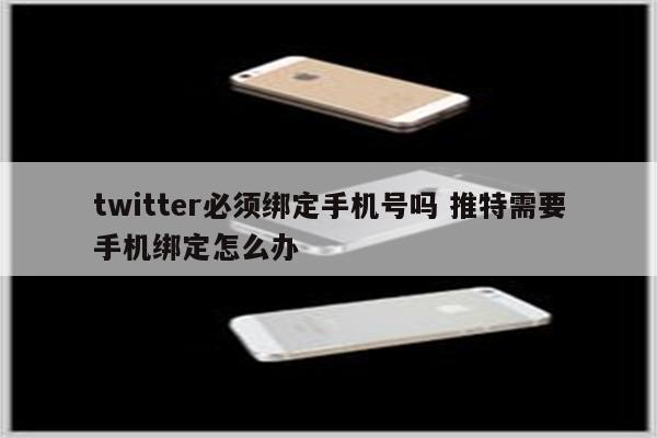 twitter必须绑定手机号吗 推特需要手机绑定怎么办