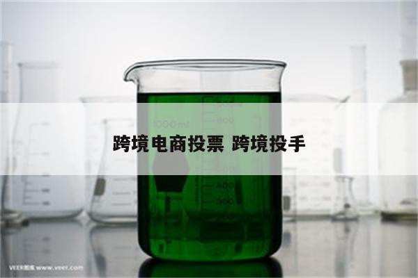 跨境电商投票 跨境投手