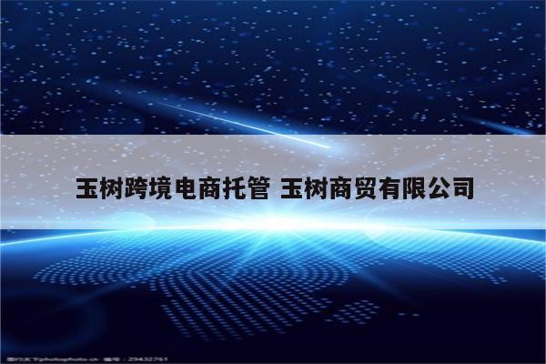 玉树跨境电商托管 玉树商贸有限公司