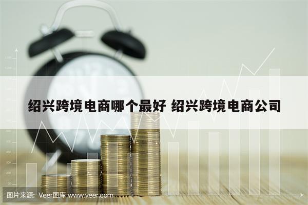 绍兴跨境电商哪个最好 绍兴跨境电商公司