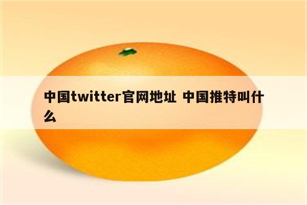 中国twitter官网地址 中国推特叫什么