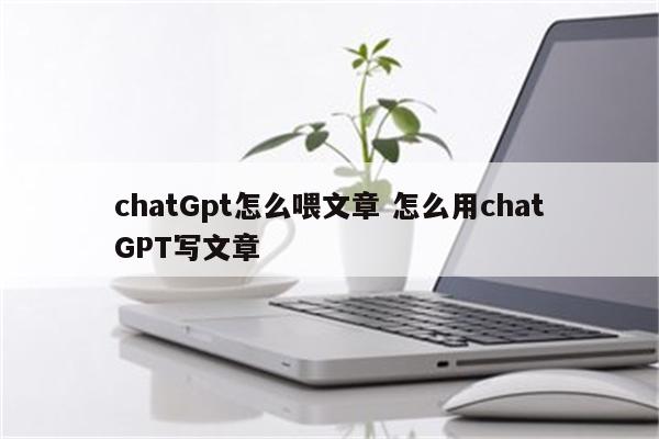 chatGpt怎么喂文章 怎么用chatGPT写文章