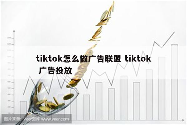 tiktok怎么做广告联盟 tiktok 广告投放