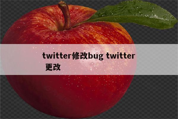 twitter修改bug twitter 更改