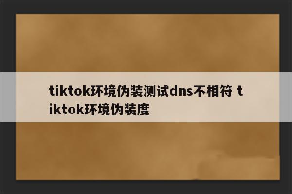 tiktok环境伪装测试dns不相符 tiktok环境伪装度