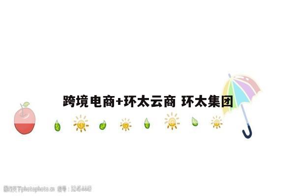 跨境电商+环太云商 环太集团