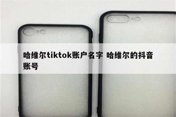 哈维尔tiktok账户名字 哈维尔的抖音账号