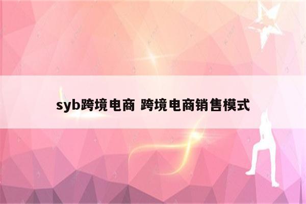 syb跨境电商 跨境电商销售模式