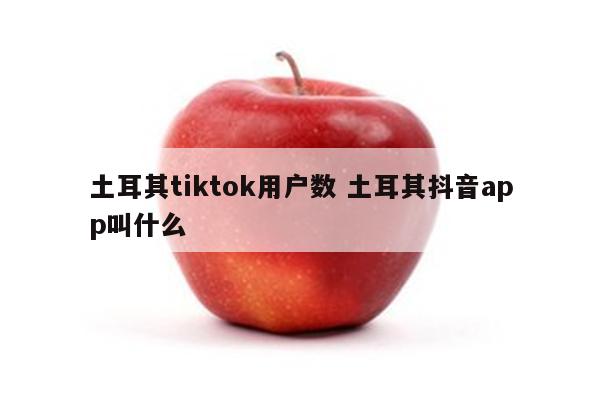 土耳其tiktok用户数 土耳其抖音app叫什么