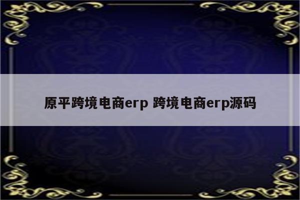 原平跨境电商erp 跨境电商erp源码