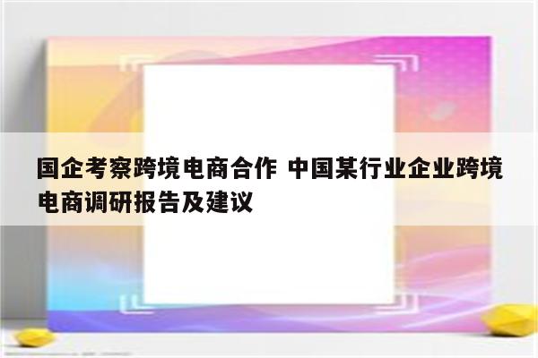 国企考察跨境电商合作 中国某行业企业跨境电商调研报告及建议