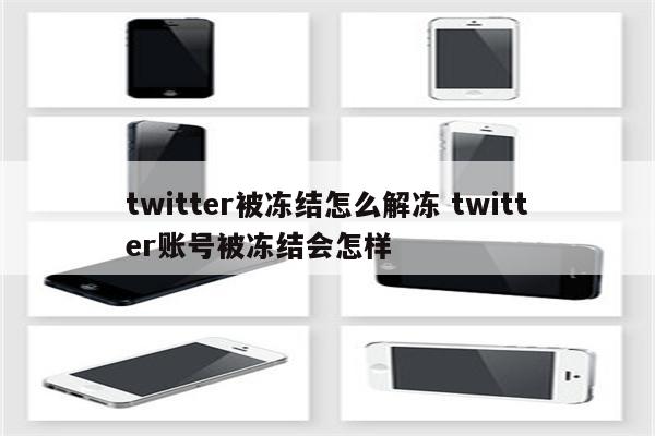 twitter被冻结怎么解冻 twitter账号被冻结会怎样