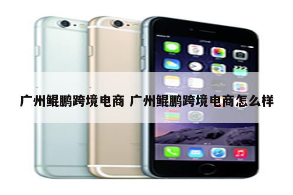 广州鲲鹏跨境电商 广州鲲鹏跨境电商怎么样