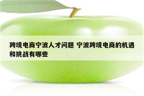 跨境电商宁波人才问题 宁波跨境电商的机遇和挑战有哪些