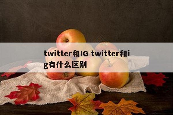 twitter和IG twitter和ig有什么区别