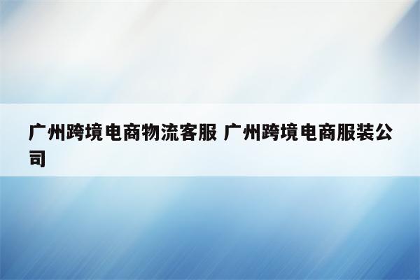 广州跨境电商物流客服 广州跨境电商服装公司