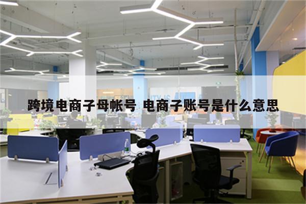 跨境电商子母帐号 电商子账号是什么意思