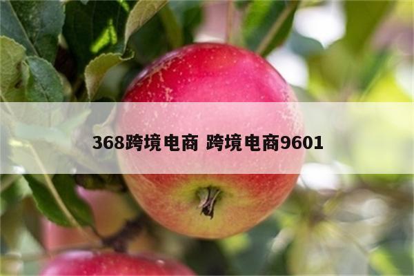 368跨境电商 跨境电商9601