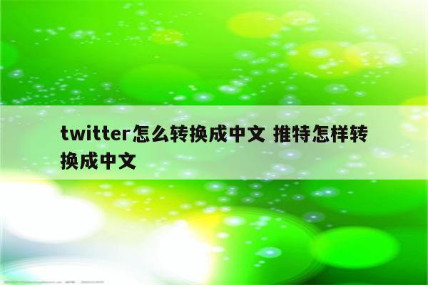 twitter怎么转换成中文 推特怎样转换成中文