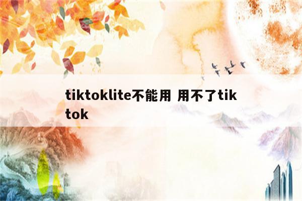 tiktoklite不能用 用不了tiktok