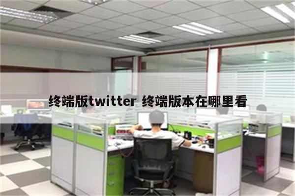 终端版twitter 终端版本在哪里看